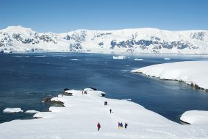 南極大陸の入り口、ポータル・ポイント＝４日目