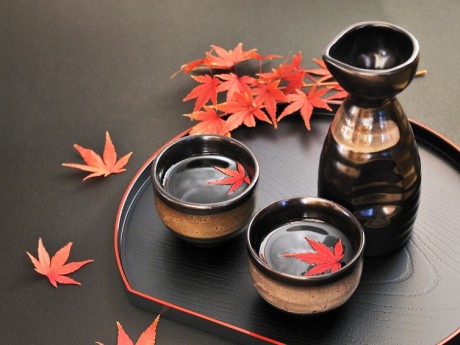Sake_Autumn_Image