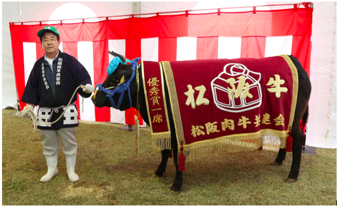 最近の松阪牛共進会の優秀賞1（チャンピオン）の牛。セリ価格は3,310万円だった（三重県農林水産部、提供写真）